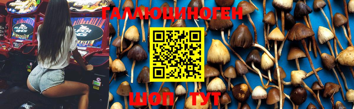 Кимовск  Псилоцибиновые грибы Magic Shrooms  Вход с VPN 